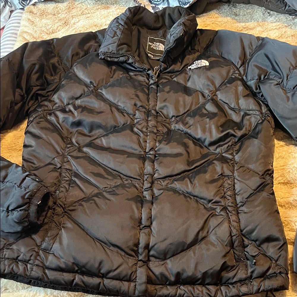 The North Face Quilted Shiny Black Jacket